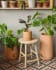 Luigina large terracotta plant pot with self-watering system, Ø 27 cm