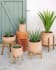 Subject terracota plant pot with solid acacia wood stand, Ø 27.5 cm