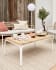 Cailin coffee table in solid 100% FSC acacia wood with white steel legs 100x60cm