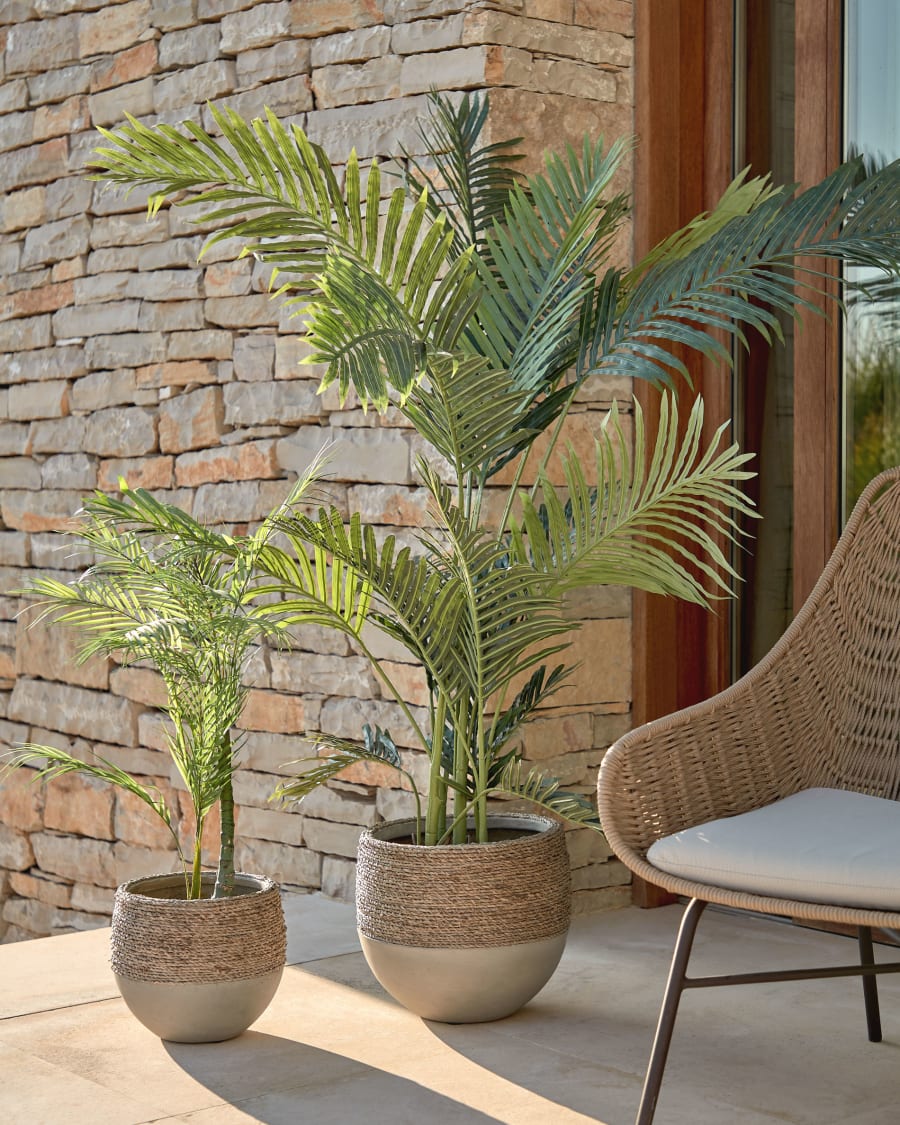 Cycas Plante d'intérieur ou extérieur avec Pot céramique - Meubles