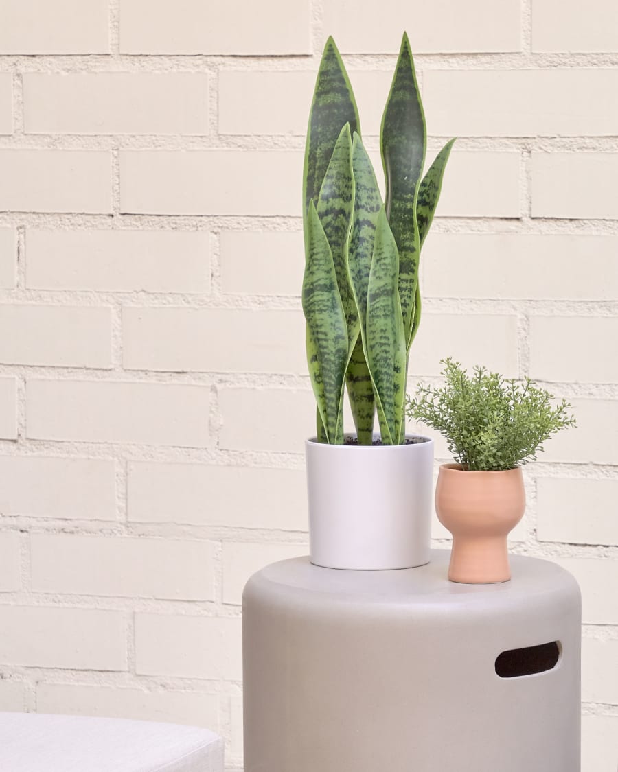 Planta artificial Sansevieria com vaso branco 55 cm | Kave Home | Black  Friday