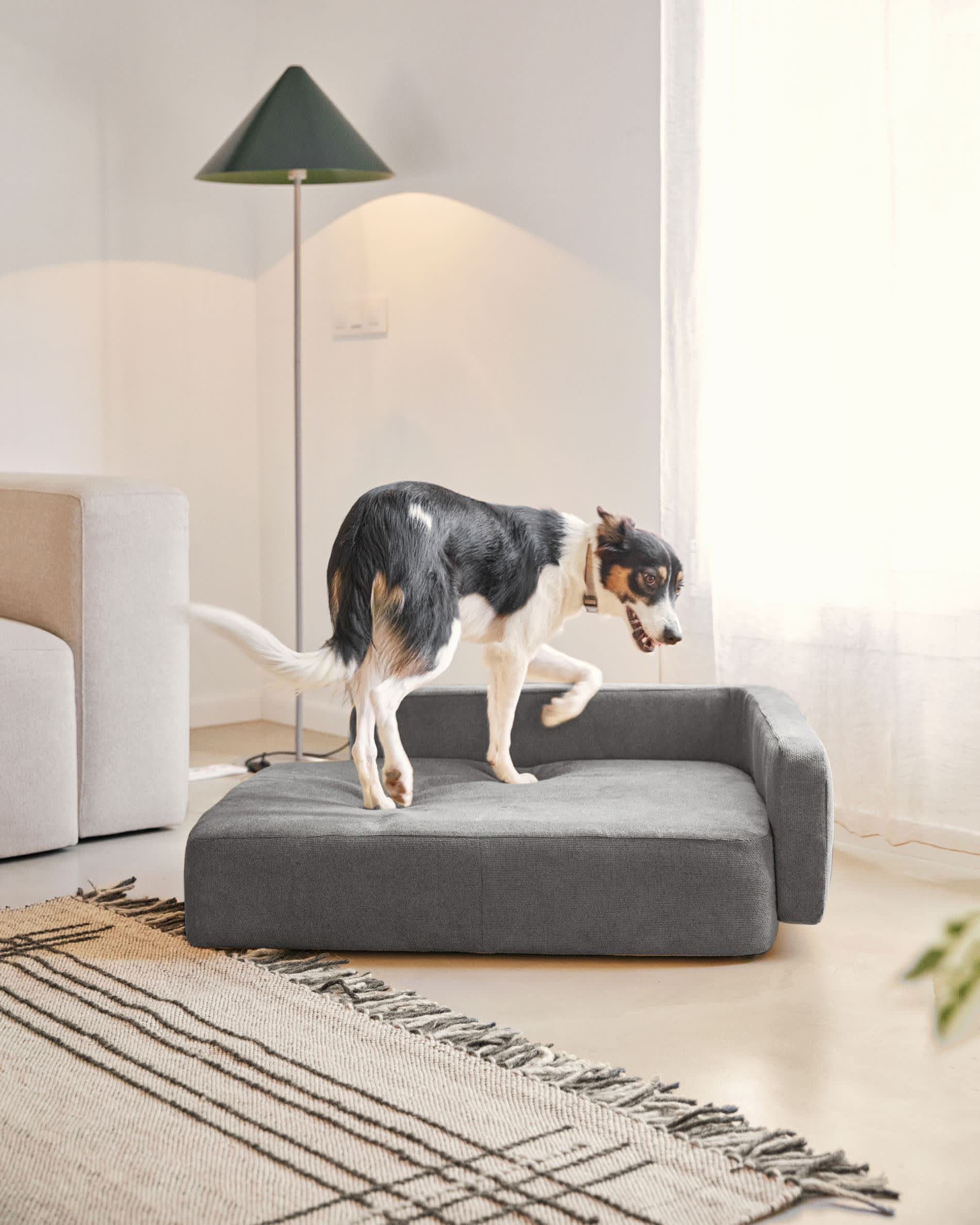 Cama discount mascota grande