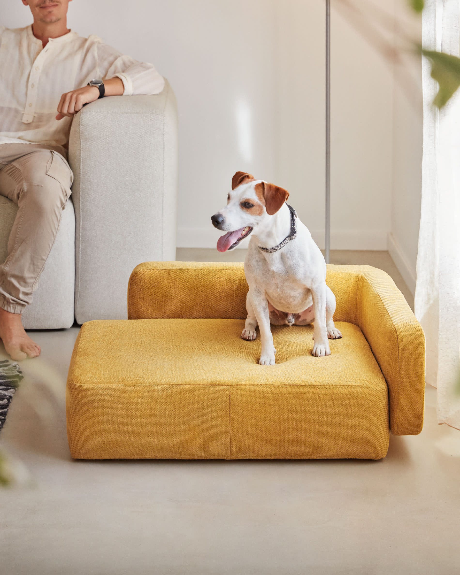 Dog beds that look like outlet rugs