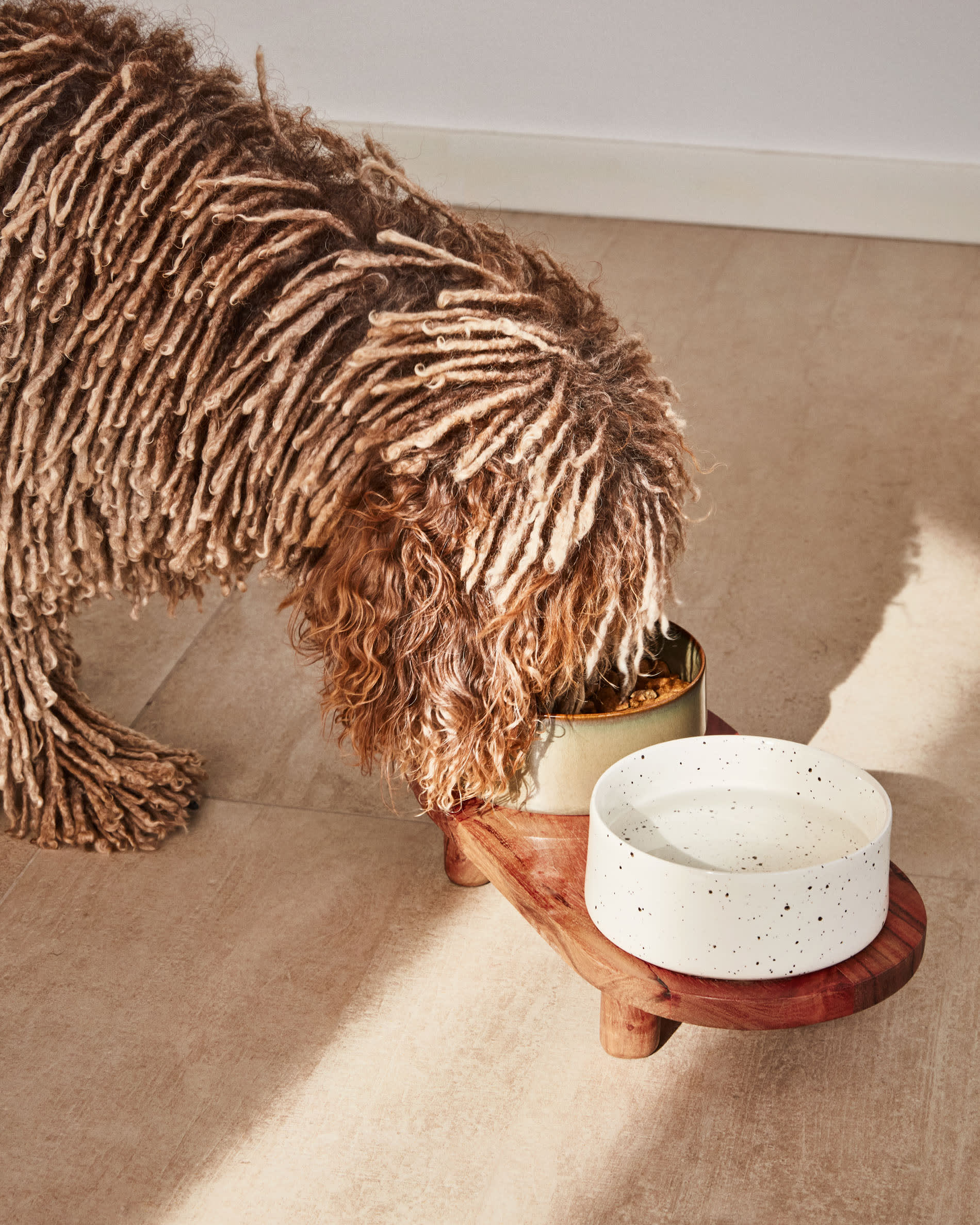 White deals dog bowl