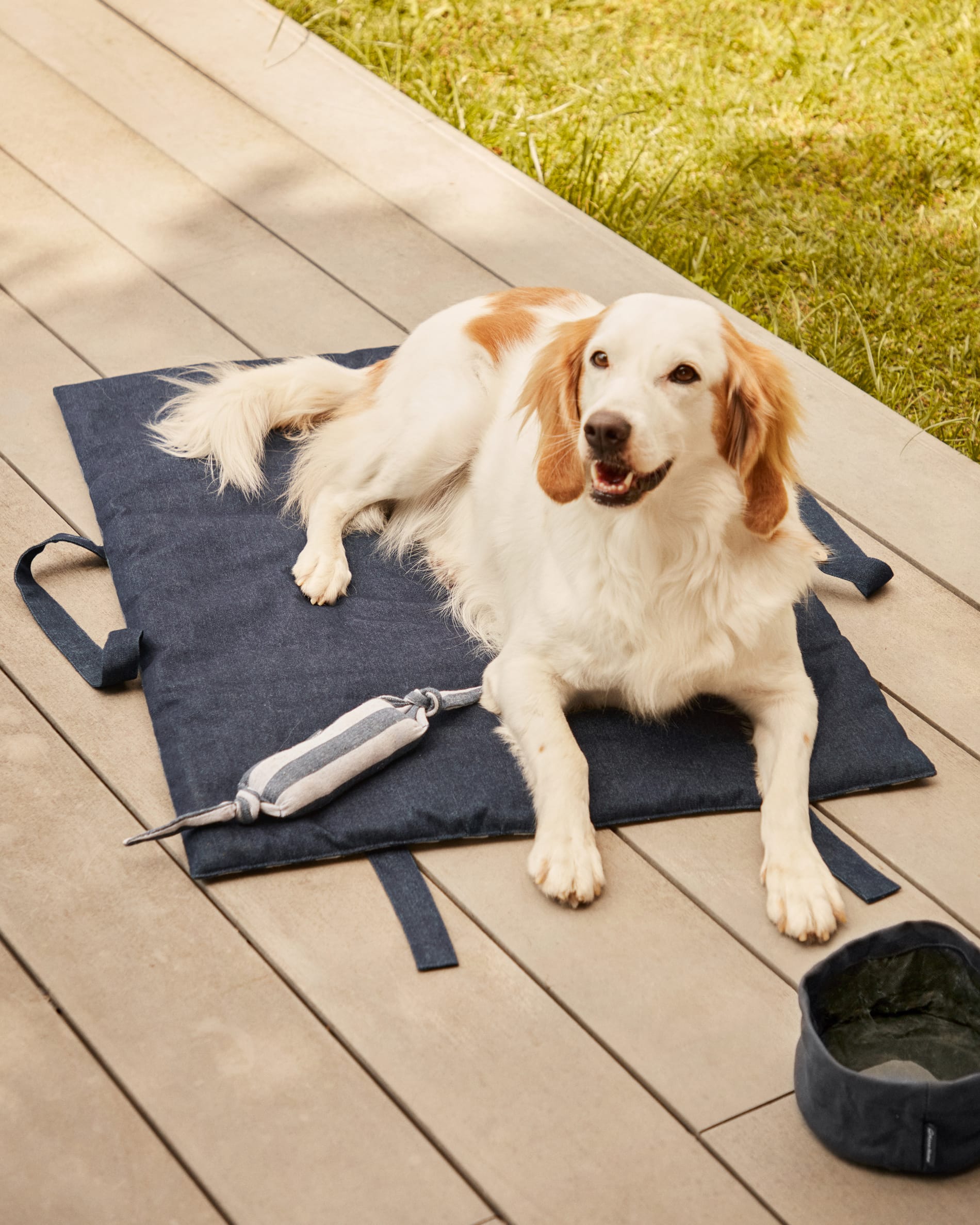 Travel dog outlet blanket