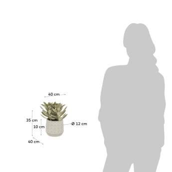 Kalanchoe tomentosa artificial plant - sizes