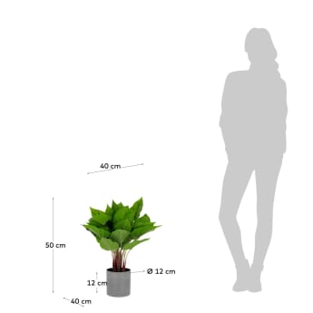 Sztuczna roślina Anthurium z doniczką cementową 50 cm - rozmiary