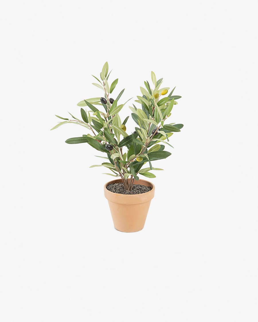 Planta olivo artificial Zelena