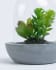 Τεχνητό Succulent μείγμα σε κεραμικό και γυάλινο κασπώ
