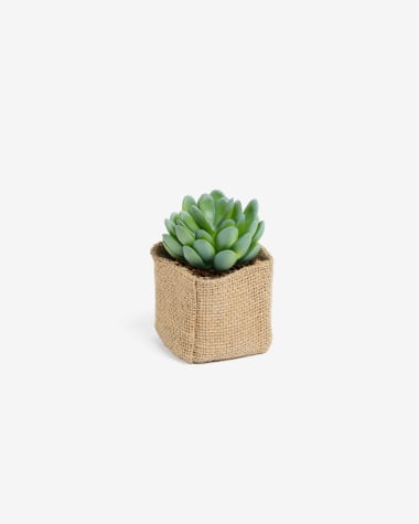 Pachyphytum artificial plant