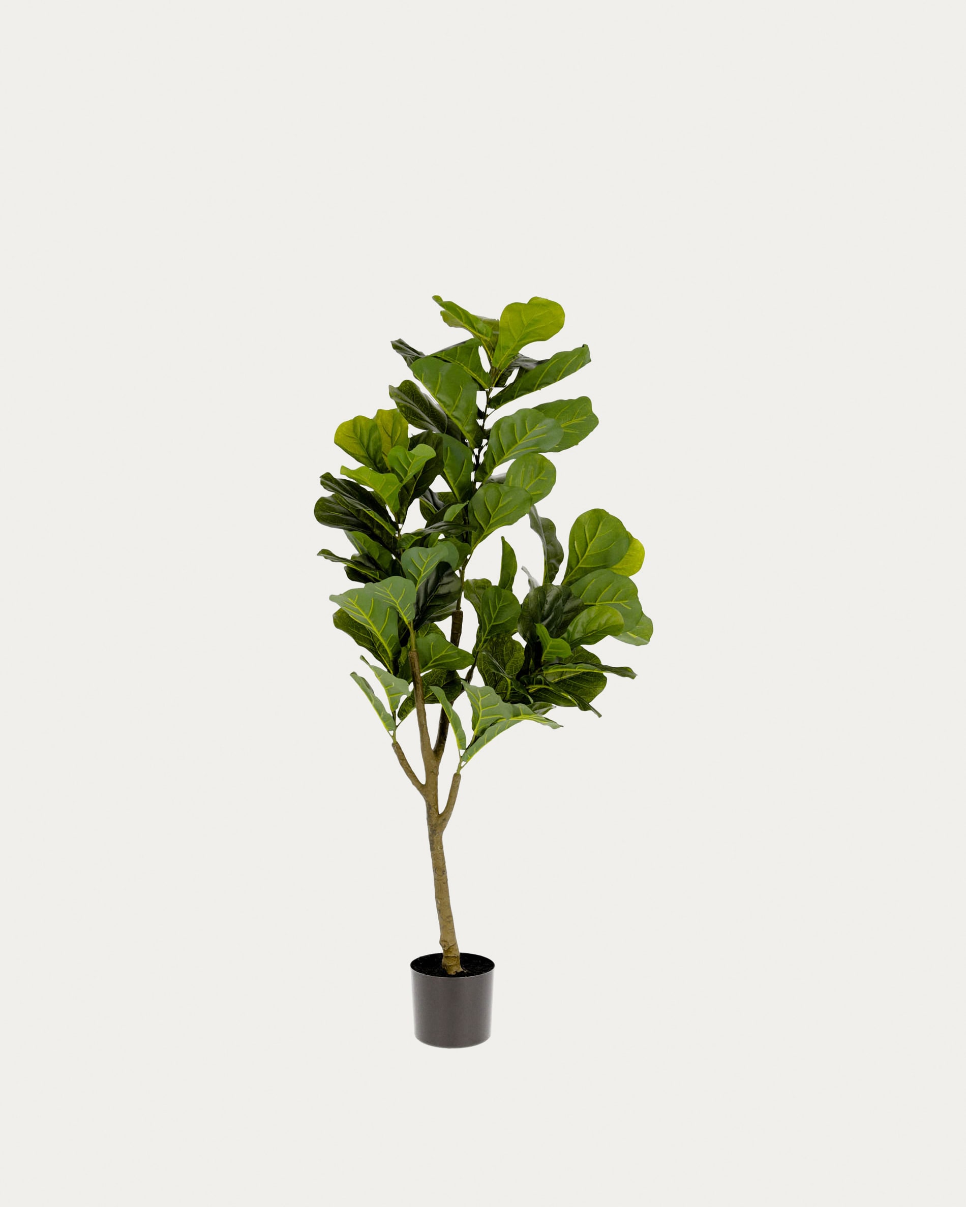 Ficus Kunstpflanze 150 cm | Kave Home