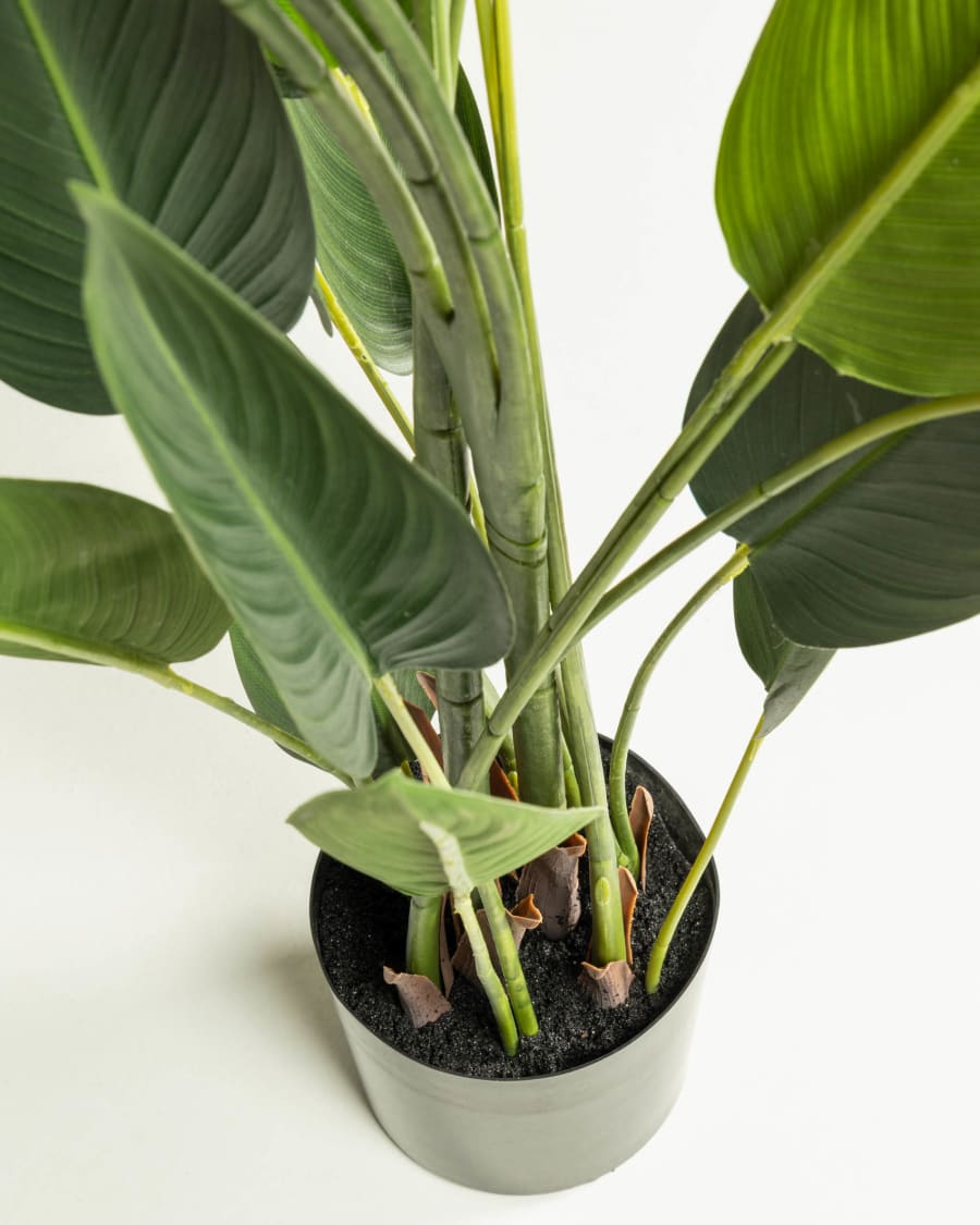 Planta artificial Strelitzia nicolai con maceta negro 160 cm | Kave Home