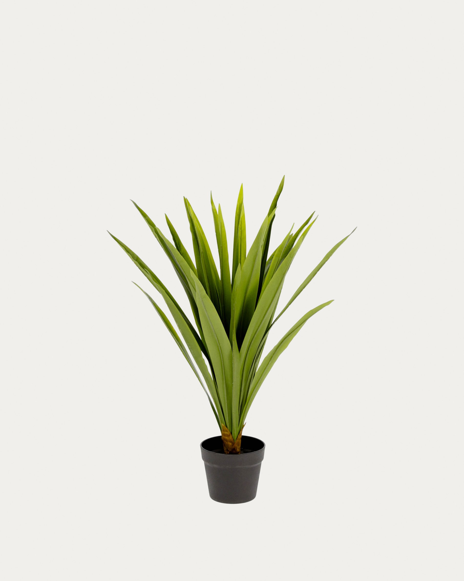 Zelena Kunstpflanze Yucca | Kave Home®