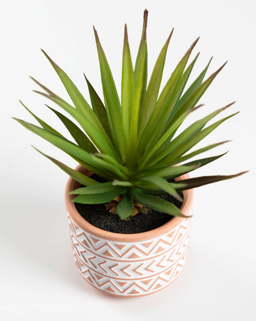 Planta artificial Palmera pequeña con maceta de cerámica marrón y blanco 13  cm | Kave Home