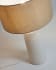 Mijal ceramic table lamp with a white finish