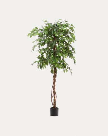 Albero artificiale di Ficus con vaso nero 180 cm
