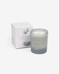 Scented candle Soft notes 180 gr