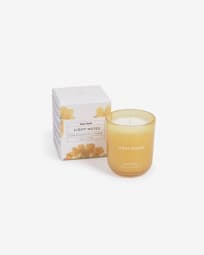 Scented candle Light Notes 65 gr