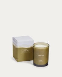 Forest Light scented candle, 510 g