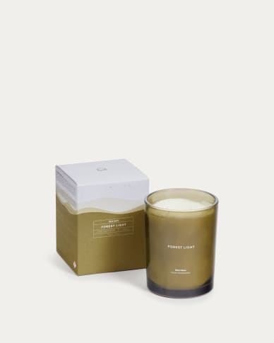 Αρωματικό κερί Forest Light, 510gr