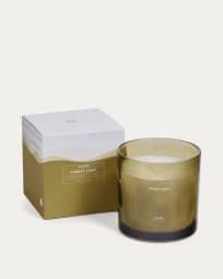 Forest Light scented candle, 1400 g