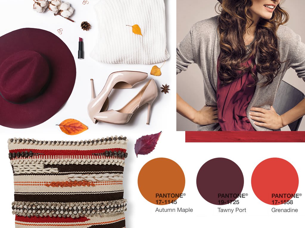 Fall color trends_1.jpg