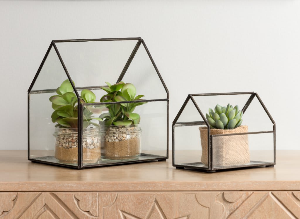 mini-plantas-urna-cristal